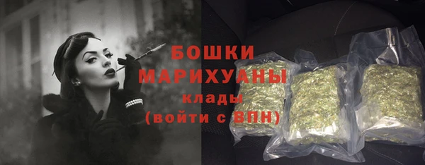 сатива Абинск