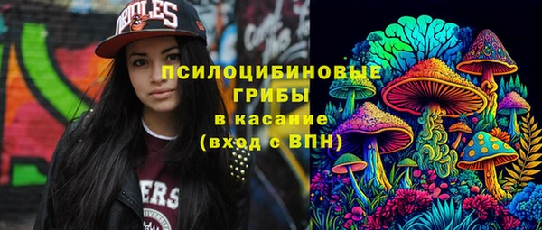 сатива Абинск