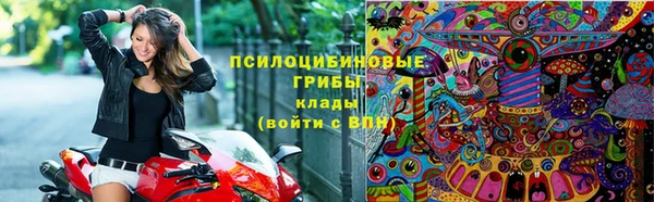 сатива Абинск