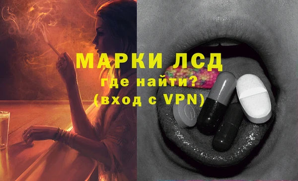 сатива Абинск