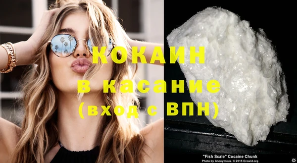 сатива Абинск