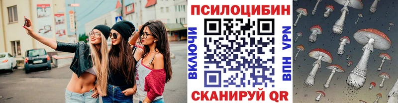 Галлюциногенные грибы мицелий  купить наркотик  Власиха 